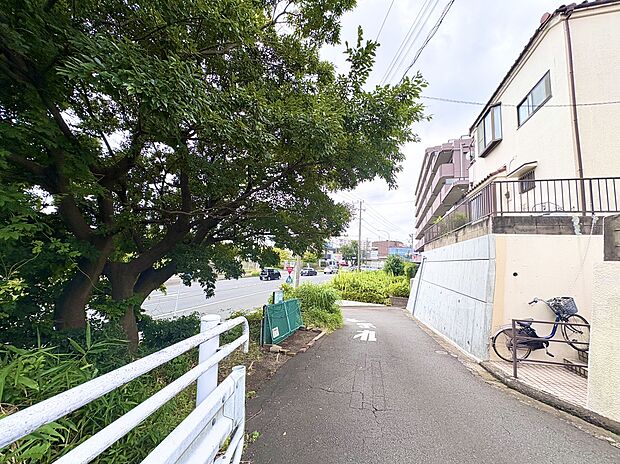 緑が見える住宅街の静かな通りの様子