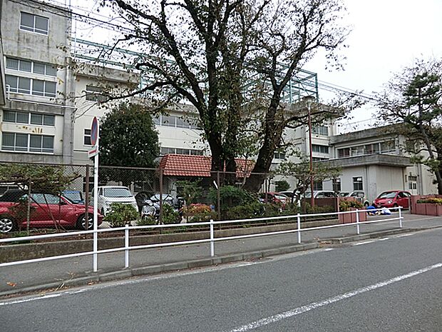 横浜市立万騎が原中学校まで約500m