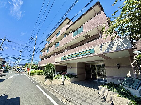 周辺に電線があり住宅街に位置するマンションの外観です