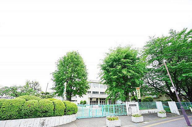 相模原市立弥栄小学校 距離約130m