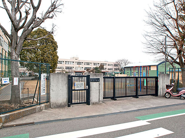 町田市立忠生小学校 距離約700m