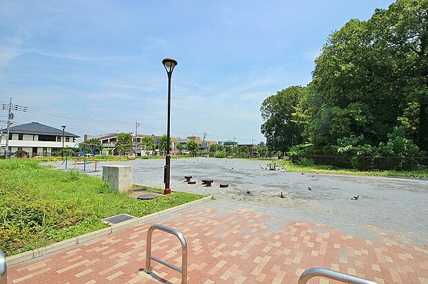 根岸からさわ公園 距離約650m