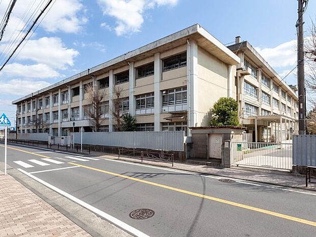 川崎市立稲田中学校まで約1100m