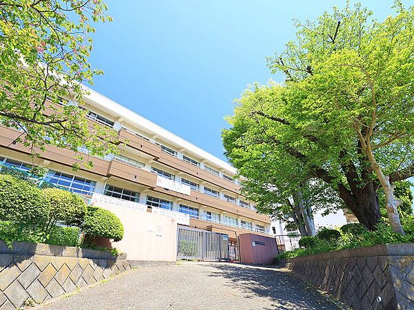 海老名市立大谷中学校　距離約550m