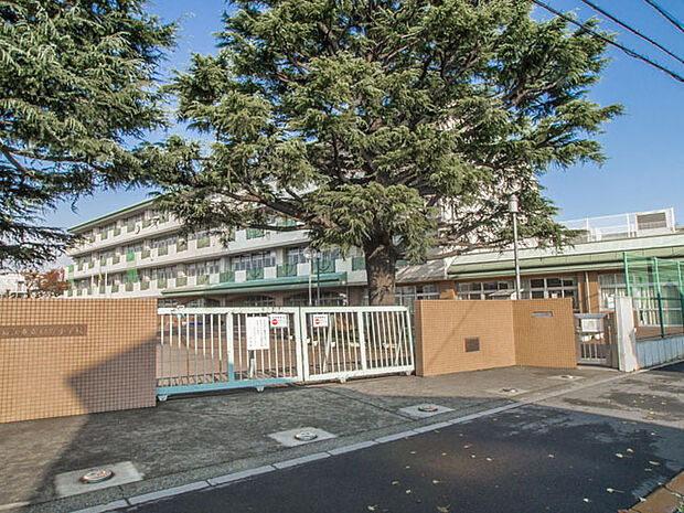 狛江市立緑野小学校 距離約1100m