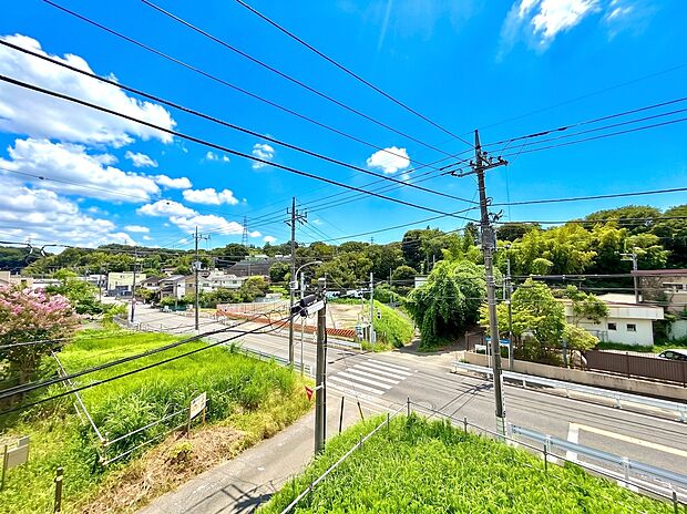 交通量少なめの道路沿い、緑豊かな住宅街の眺望