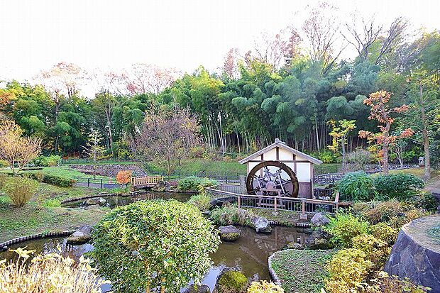 上谷戸親水公園距離約450m