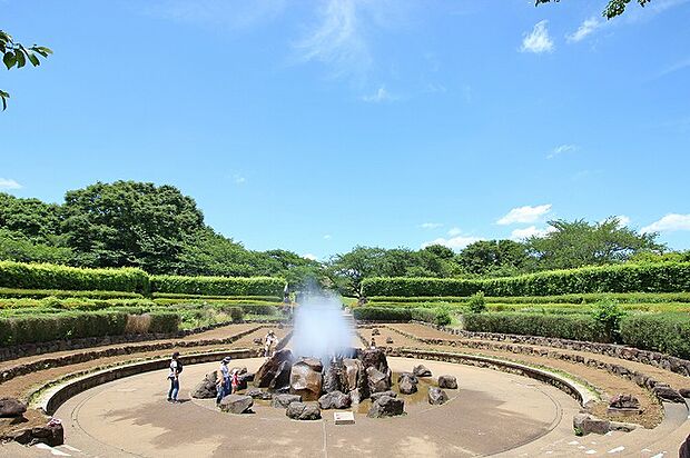 神奈川県立四季の森公園まで約1100m