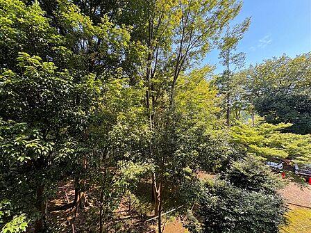 緑豊かな自然が望める物件の敷地周辺の風景です