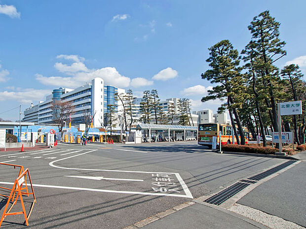 北里大学病院 距離約2500m
