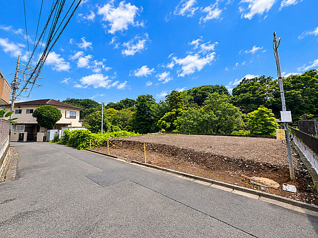 周辺道路と塀、緑のある住宅地の景観