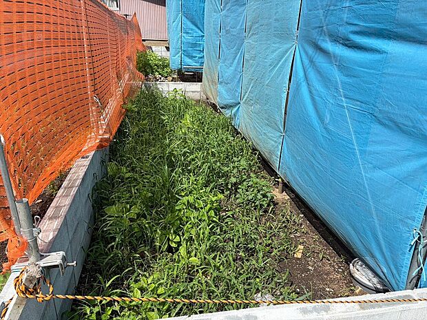 建物脇の細長いスペースに草木が見られます