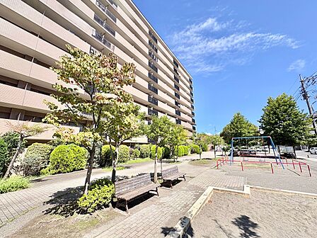 マンション周辺の植栽と舗装された共用スペース