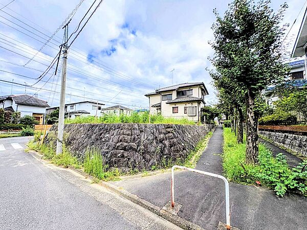 住宅周辺の道路と植栽の様子