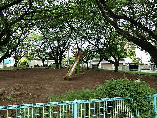 小台東公園まで約800m