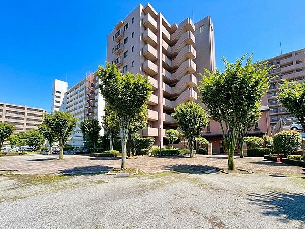 集合住宅と植栽のある敷地内の風景