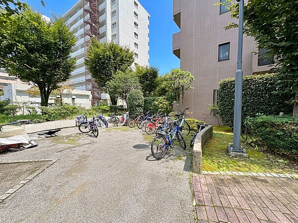 建物周辺の道路と植栽、自転車置き場