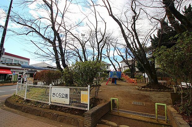 さくら公園 距離約240m