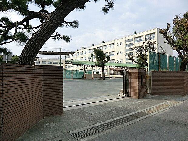 横浜市立希望ケ丘小学校 距離約700m
