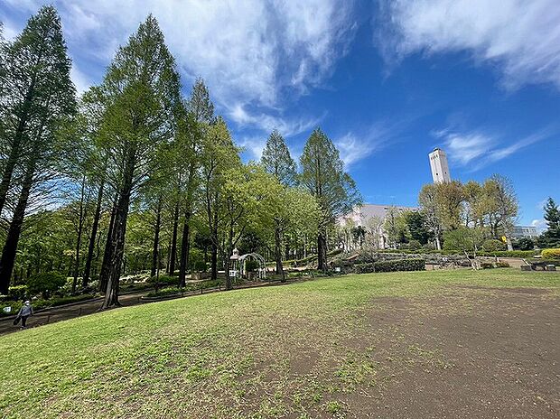 相模原北公園　距離約400m