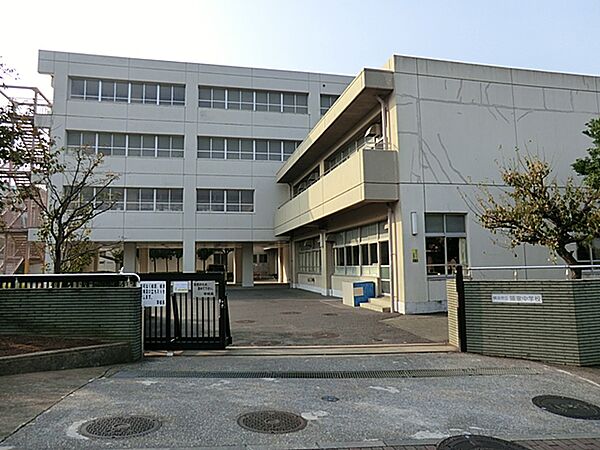 横浜市立領家中学校　距離約1200m