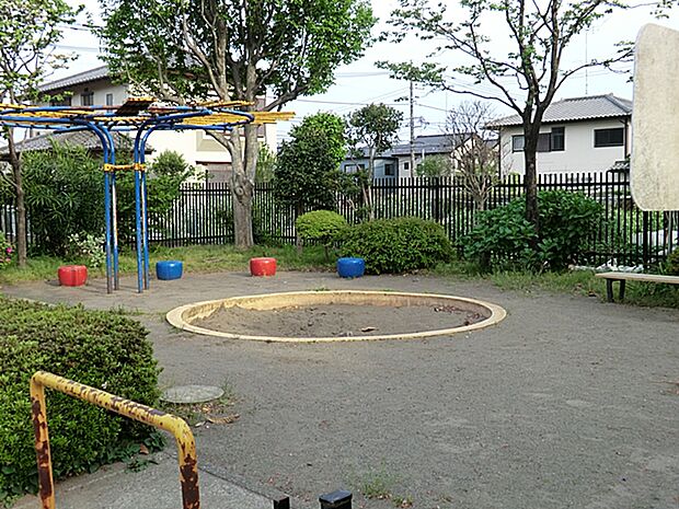 旭町コスモス公園 距離約400m