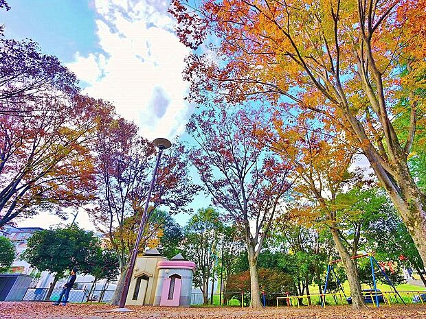 南生田公園　距離約350m