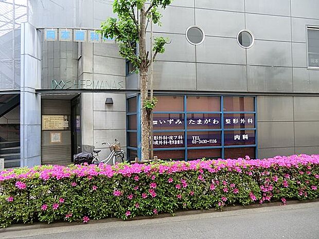 いずみたまがわ整形外科 距離約500m