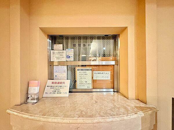 洗面台と壁面収納を備えた洗面スペース
