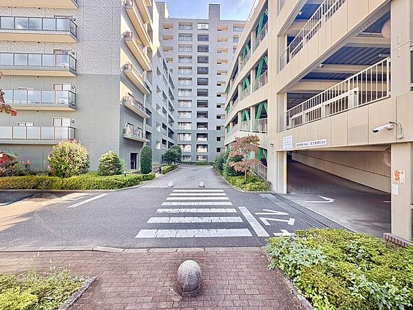 集合住宅に囲まれた敷地内の通路と植栽