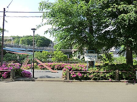 生田根岸第2公園まで約900m