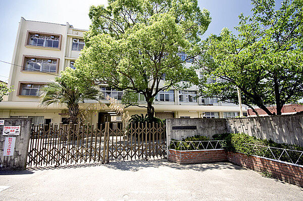 羽曳野市立恵我之荘小学校まで816m