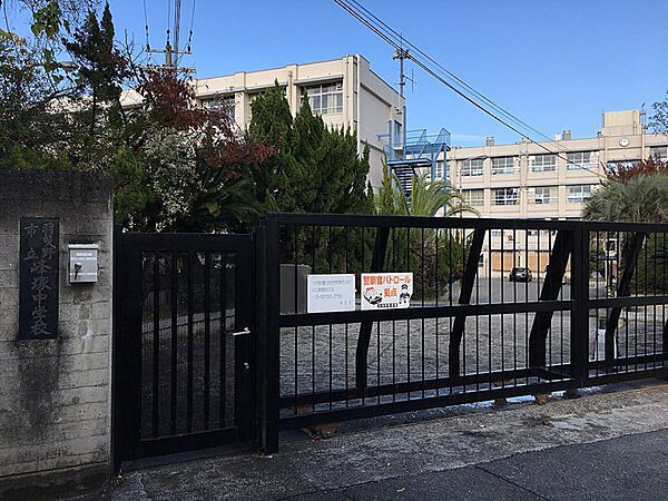 羽曳野市立峰塚中学校まで2438m