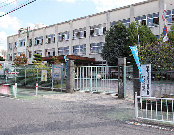 藤井寺市立藤井寺南小学校まで537m