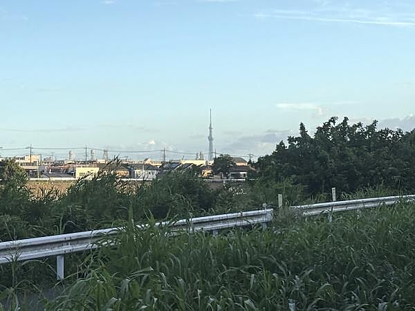 スカイツリーが望めます！