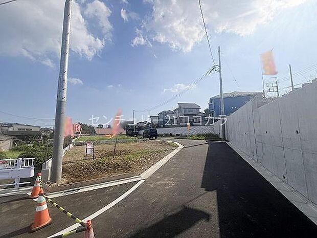 2024年9月6日撮影・全体写真