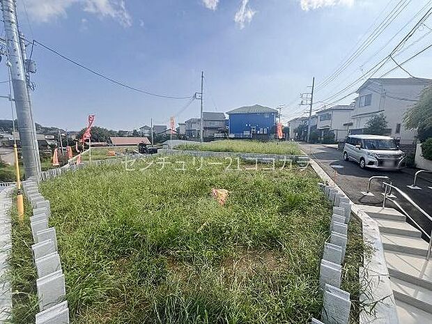 2024年9月6日撮影・全体写真