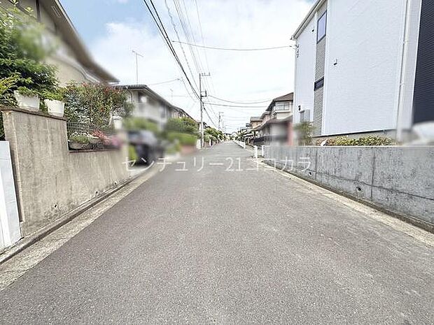 2025年5月16日撮影