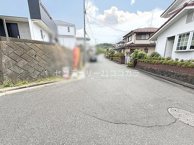 2025年5月16日撮影