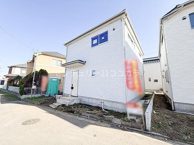 2025年12月1日撮影