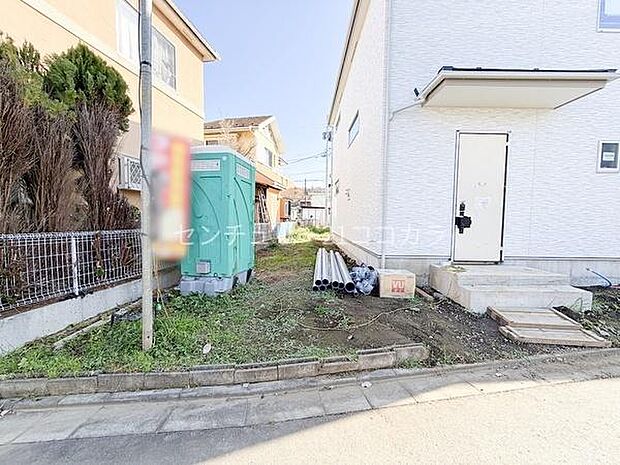 2025年12月1日撮影