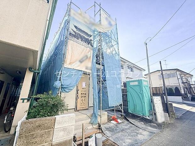 2026年1月12日撮影