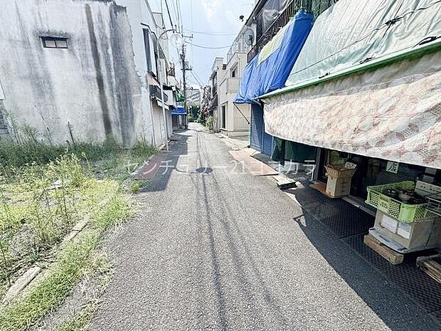 2025年8月21日撮影