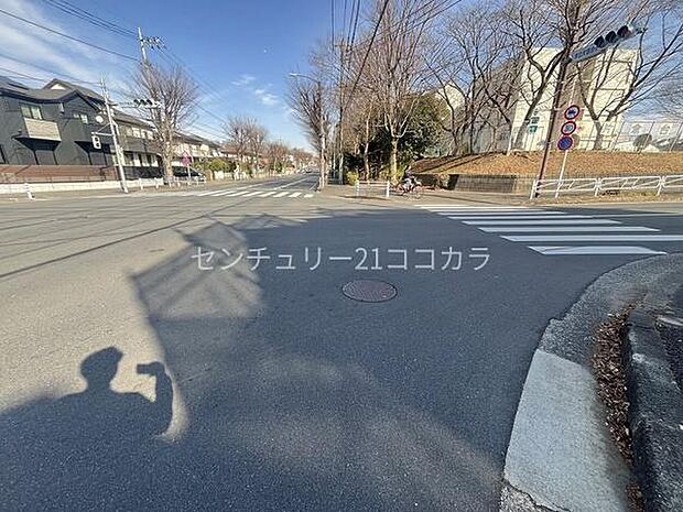 2026年2月6日撮影