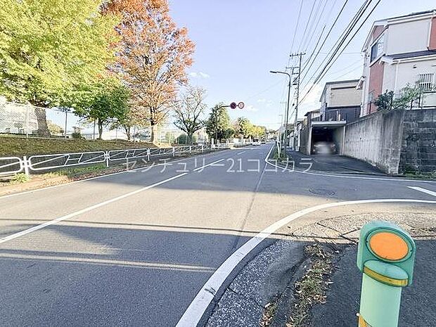 2025年11月10日撮影