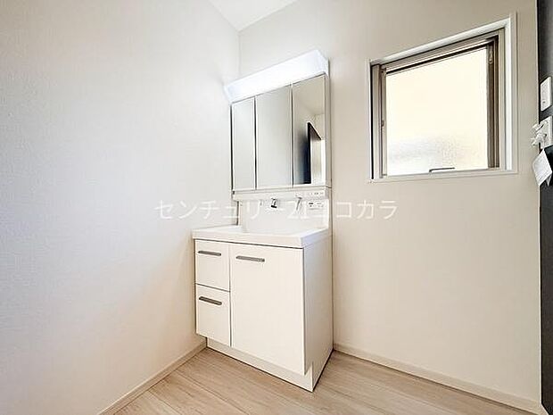 3面鏡シャンプードレッサー