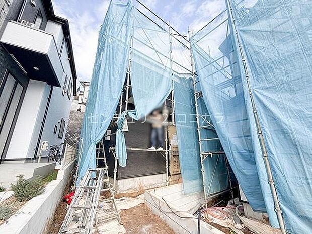 2027年11月27日撮影