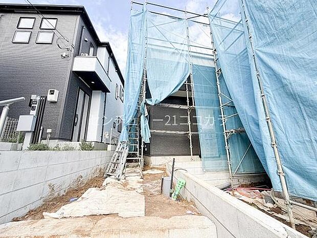 2027年11月27日撮影