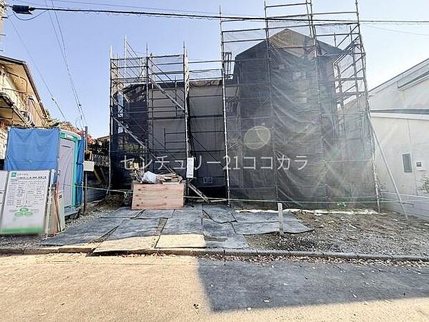 2025年11月20日撮影