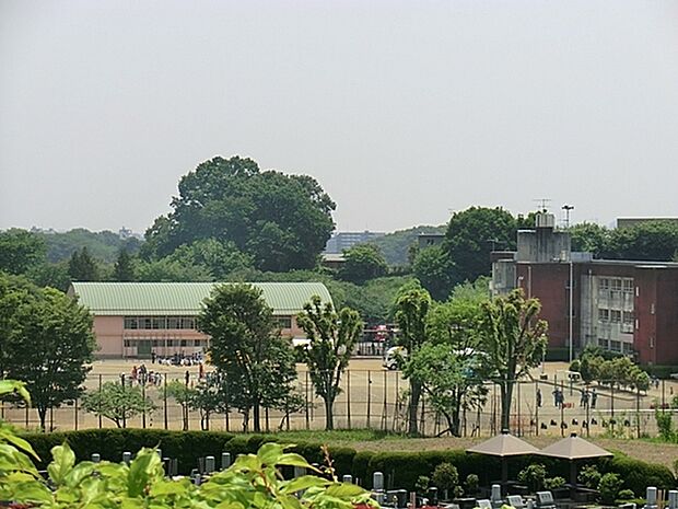 八王子市立城山小学校まで1115m